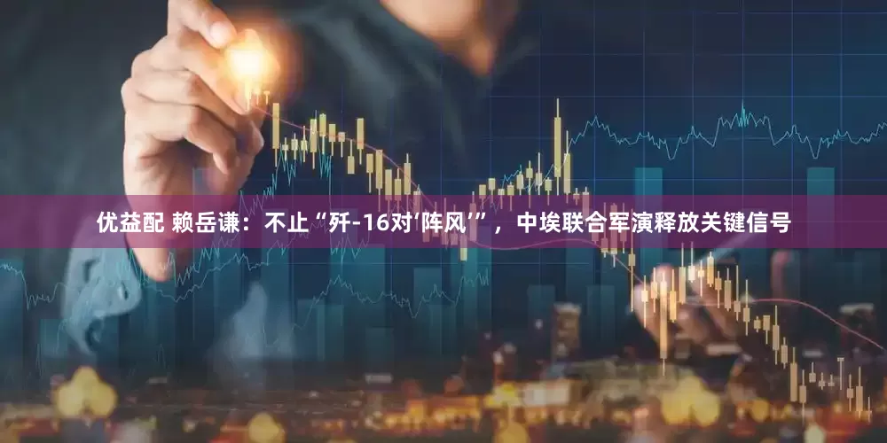 优益配 赖岳谦：不止“歼-16对‘阵风’”，中埃联合军演释放关键信号