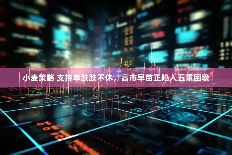 小麦策略 支持率跌跌不休，高市早苗正陷入五重困境